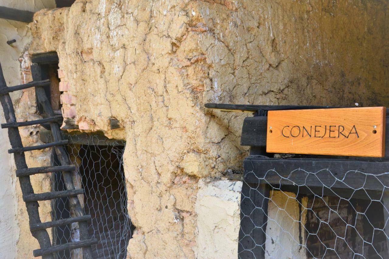 Casa Rural Abuela Tina Antonan del Valle Ngoại thất bức ảnh